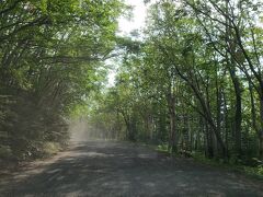 カムイワッカ湯の滝までの山道は砂埃がすごくて、車が砂だらけに。
車を汚したくない方はやめておいたほうがいいです。
しかも道のりが長ーいです。