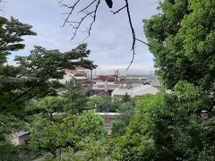 翌日、東海市に大仏があると知って、大仏のある聚楽園公園へ。

テレワークでどうしても運動不足になるので、散歩の時間を増やすこともこの旅行の大きな目的です。