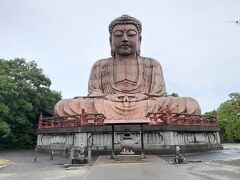 聚楽園大仏です。

昭和天皇のご成婚を記念して開眼供養されたとのこと。

少し高台にある（逆に言えば駐車場からは僅かに登る）ので、東海市の工業地帯なども見渡せます。

名鉄の聚楽園駅からも歩けます。ここからの方が坂道。