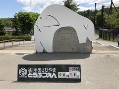 旭山動物園