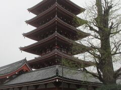 浅草寺５重の塔
