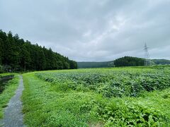 ホテルのチェックイン (15:30) にはまだ少し時間があるので、どこに行こう？
ラーメン以外の下調べをしていなかったのでネットで検索してみたところ、「丸池様」というところがあるらしい。
ホテルのある鶴岡からは少し離れていますが、行ってみよう。

到着したのは、周りに何もない鮭の孵化場…
ですが、駐車場に車が3、4台あるので、ここで間違いないようです。