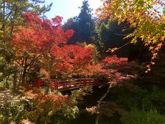 紅葉谷公園に到着しました。