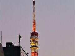 日没の時間が早くなってきたようで　
「東京タワー」がライトアップされ　
夕暮れの空に輝いていました

楽しい午後を過ごせて　大満足でした