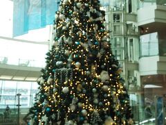2020年11月7日(土)

羽田空港、すでにクリスマスの装いです