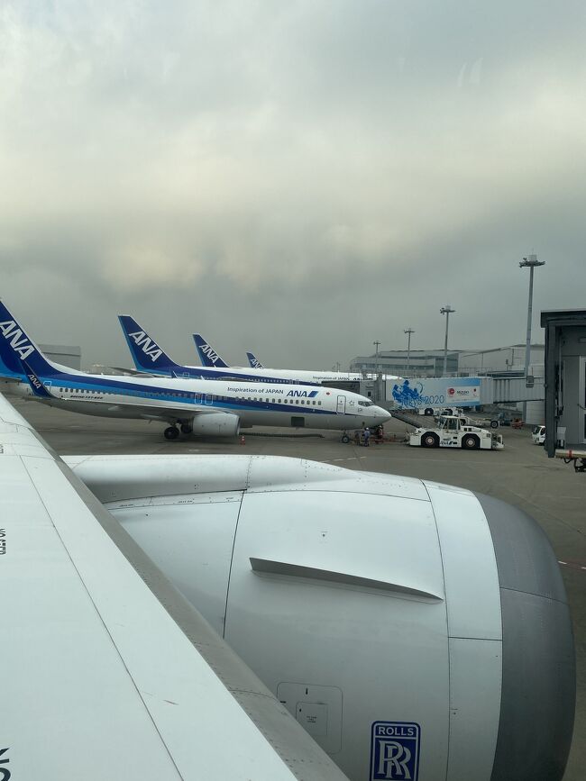 8月ダイヤモンド修行最終日。朝の羽田空港。<br />プレミアムクラスは満席ですが、エコノミーは空港だらけ。緊急事態宣言中なので仕方ないです。