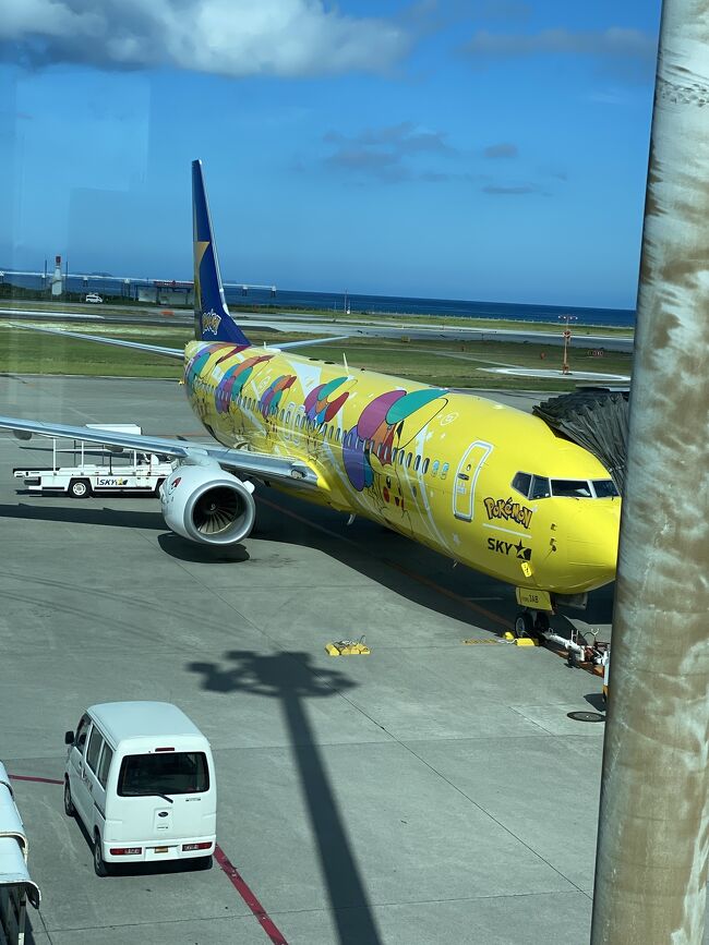 スカイマークのポケモンジェット。子供に人気がありますね。