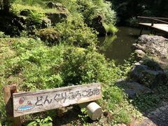 食事を終えて、文学の森公園を歩きます。
8月の昼過ぎの陽射しは強烈です。
どんぐりころころ池という池がありました。