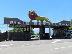 翌日も雲１つなく、真夏の太陽がジリジリ照り付ける快晴。
サンバレー那須から近い超有名なパン屋さん「ペニー・レインへ立ち寄ってパンを購入。
その後、どこへ行こうか喧々諤々の末、那須サファリパークへ。
入場料とは別にバスで園内を回る場合は、１人１０００円。
園内専用の乗用車を借りる場合は、１台２０００円。
どう考えても車を借りた方が安いよね。