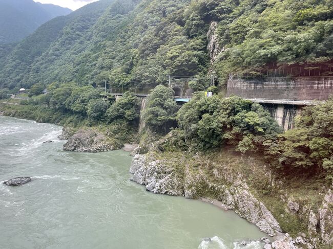車内放送で大歩危小歩危の案内が流れて、次はここにしようと決めました。
