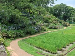 小田原城址公園