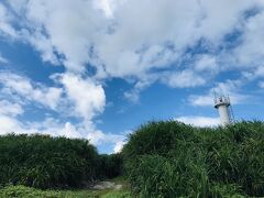 黒島の小さな灯台。

みどり×青×白のコントラストが美しい