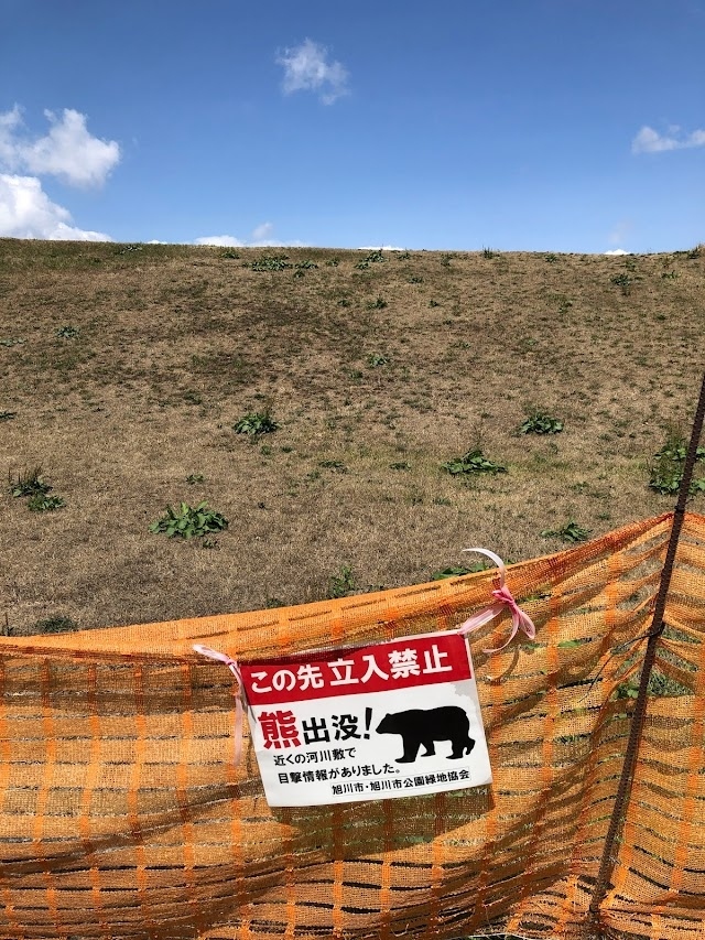 2021年夏 帰省ついでの家族旅行2 美術館と博物館と懐かしい場所 旭川 北海道 の旅行記 ブログ By 春光さん フォートラベル