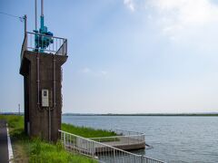 利根川。水がたゆたゆだ。

東国三社巡り、昔の人たちは
歩いてまわってたのかなぁとか
思ってたんだが、この水運を利用してたのね。