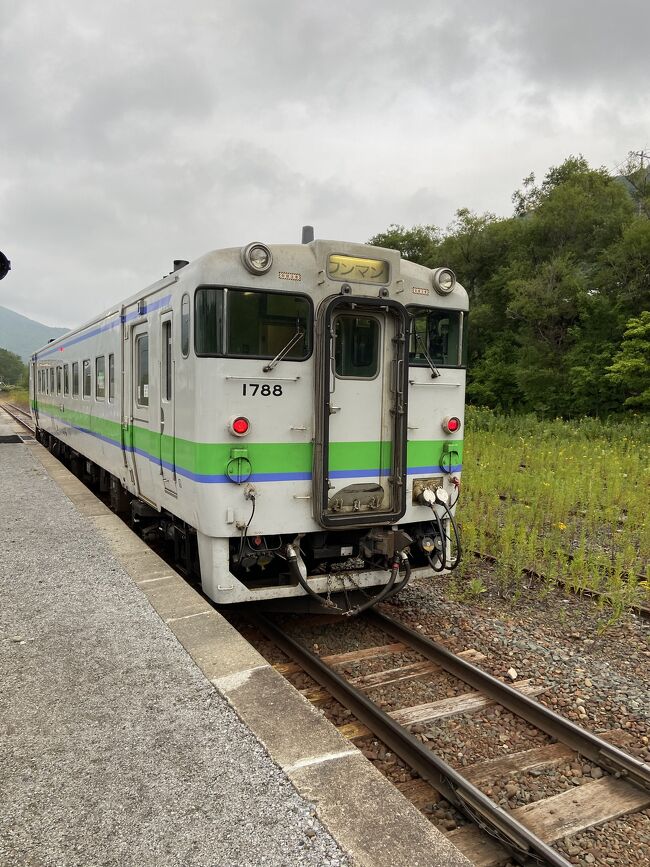 引退間近！？根室本線キハ40乗り継ぎ旅(北海道10泊旅行NO.8)』北海道の旅行記・ブログ by 石勝線さん【フォートラベル】