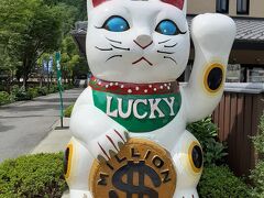 下呂の駅の方に歩いてみました。

途中にあったのがヤマカワ招猫店。
七福神といい、運気が上がりそうなのが街にいっぱい（笑）