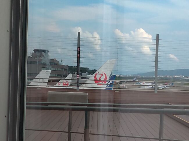 窓側の席は滑走路が良く見えた