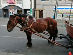 ホテルヌプカ前から出発する動く馬車のBARです．ばんえい競馬に出走していたお馬さんでしょうか？