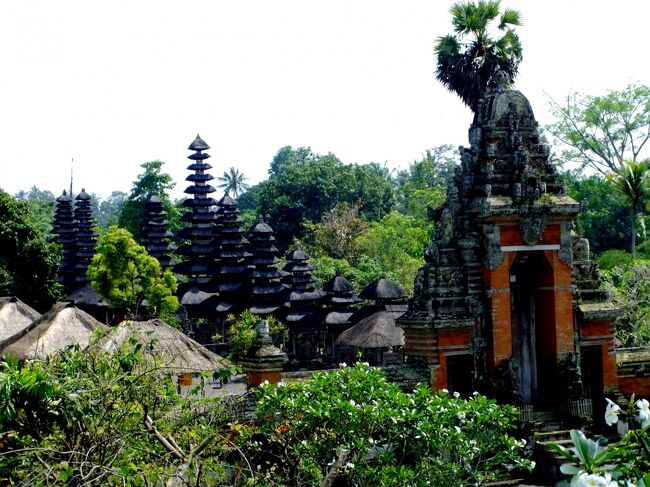 それからお濠には蓮が多くありました。<br /><br />この時間は咲いていませんでしたけれど。