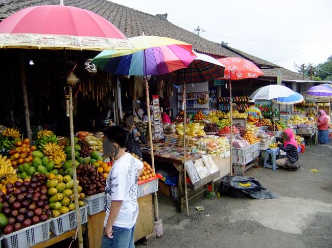 南国の果物は美味しいですよね～<br /><br />私はやっぱりマンゴーが食べたいな。<br />ってまたマンゴーですか？