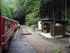 途中、川根小山駅に到着しました。この駅の愛称は、字ずらの区切りをアレンジして｢川猫山｣駅。丸太小屋風の待合室には、猫の写真がいっぱい。。