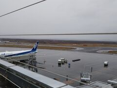 おなかいっぱいになり空港内を展望デッキに出てみましたがあいにくの雨。しかもANA駐機エリアまで遠いので