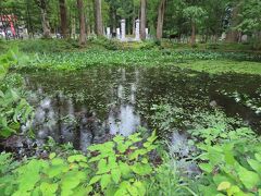 大社殿の前に鏡池。次は鳥居を潜って階段を降ります。