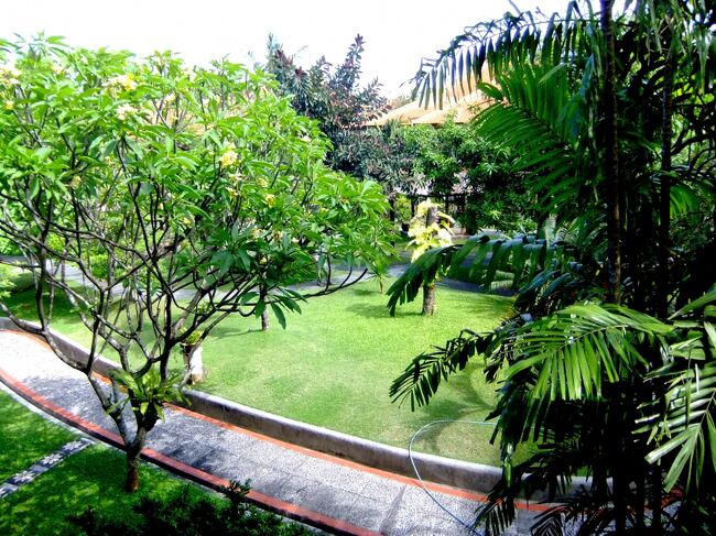 プルメリアの木。<br /><br />少し香っているかな？