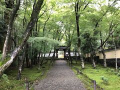 食後に地蔵院に来ました。
参拝客がほとんどいないから、竹林をしっとり歩けるのはよかったです。