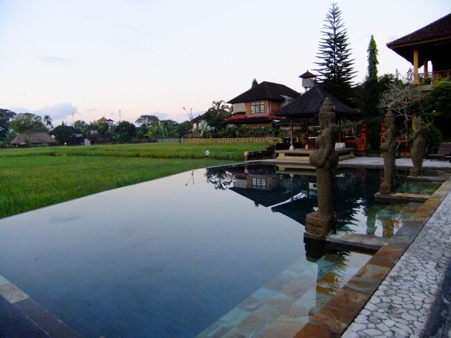 朝ごはんを食べ終えた後、車に乗る前に敷地内を少し散歩。<br /><br />ウブドのチェンダナ・リゾート、良い宿だったなあ。<br />名残惜しいです。