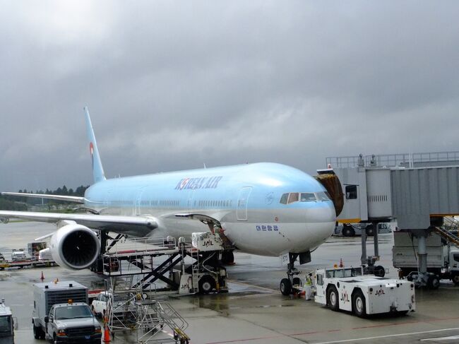 この大韓航空の写真は成田空港で撮ったものなのですが。<br /><br />デンパサールから帰りもソウル経由です。<br />チェックインの時、窓側の席をリクエストしたら、<br />ソウル→成田のフライトはビジネスクラスにあてがわれました。<br />特典航空券でもそんなことあるんだなあと思いました。<br /><br />ものの3時間だからエコノミーで良いのだけれどね。<br />ま、得しました。。。<br />
