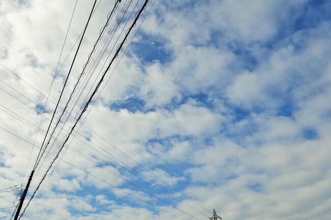 今回、昔のバリ旅行をアップしてみました。<br /><br />そして番外編として私の近況などを。<br /><br />久しぶりに晴れた東京の空。<br />少しどんよりはしていたけれど、秋っぽい空でしたね。<br /><br />