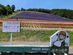 時季遅れですみません。初めに是非紹介したいのがここ、中富良野町営の花畑、北星山ラベンダー園です。中富良野町は「ファーム富田」が何と言っても有名ですが、ここも是非見ていただきたいと思い、遅くなりましたがアップしました。