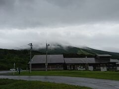 そしてこれがアルパこまくさ
後ろのすっぽり雲に隠れているのが秋田駒ケ岳でございます。