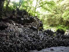 天照大神が岩戸隠れした際に、八百万の神々が相談したといわれる場所だそうです。