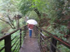 袋田の滝へ。
下流のお土産屋さんに車を停めて（￥500、お土産￥1500買うとタダになった）歩くこと10分くらいかな。
観瀑台への入場料￥300です。