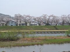桧木内川堤（ひのきないがわつつみ　写真）の桜とともに、日本さくら名所100選に選ばれています。