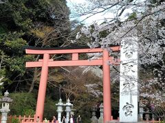 【3日目】
「香取神宮」に行きました。
2ヵ月前の2月に来たときは、雪が残った時でした。
今回は桜が満開の「香取神宮」で、ウキウキします！

2月の「香取神宮と『北総の小江戸』水郷さわらの町歩き」はこちら
 ⇒ https://4travel.jp/travelogue/11710377
