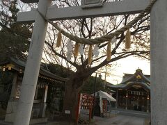 商店街からくりはま花の国に向かう途中、久里浜天神社に立ち寄りました。
