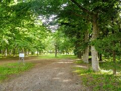 御茶屋御殿跡
家康が鷹狩へ行くときの休息所があったところ。