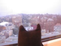 ５連泊したのは、円形の建物のホテルブダペスト。ワンフロア―に20室。1部屋の占有は18度、ということですね。
ちょっと街はずれ、のイメージの場所です。
1時過ぎに寝た割には7時の目覚ましですぐ起きられた～。曇っているからか、ち～っと暗い感じです。