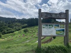 みんなみの里から車で10分ほどの、大山千枚田へ
日本の棚田百選にも選ばれた、美しい棚田が広がっています。