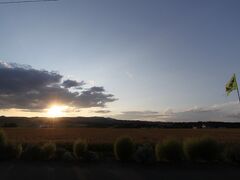 富良野、美瑛周辺のホテルは1万5000円くらいからとお高めだったので、旭川まで移動。

畳部屋があるのが決めてになり、アートホテルへ。幼児連れには畳だ…

緊急事態宣言でお店も全然やっておらず。子連れだし外食避けた方がいいかなーということで、この日も吉野家でテイクアウトするという… 

本当は旭川ラーメンとか食べたかったけど、やむなし。

３時起きで疲れたし、明日は最終日ということで、早めに就寝。