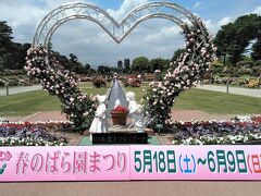 「敷島公園ばら園」
折しも『春のばら園まつり』の真っ最中でした！　「ばら園まつり」は春と秋の年2回開催されますが、春の方が見事で、盛大です。

