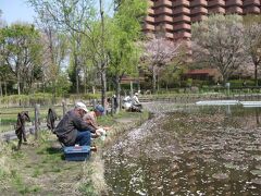 春は、見沼代用水沿いの桜が満開で綺麗です。
（写真は、春に撮影したもの）