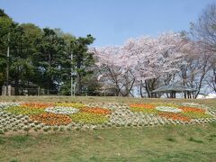 「大崎公園」
芝生広場、釣りができる池、『こどもどうぶつえん』などもある、広大な公園です。
春は、桜の花が見事です。（写真は前年春のもの）