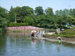 「さぎ山記念公園」
公園内には、「さぎ山記念館」の他にも、広場や藤棚、菖蒲田、釣りができる池などもあります。