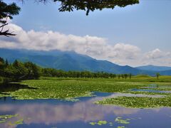 一湖は高架木道から眺める景色も地上遊歩道から眺める景色も双方、おすすめ