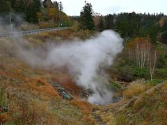 ●太古の息吹

「八幡平樹海ライン」を走行中、道の脇から蒸気が昇っていて、すぐそばに駐車場もあったので車を止めてみると、「太古の息吹」と呼ばれる高温の熱泉が噴出している場所のよう。

ただし、「火傷事故多発により立入禁止」との立て看板があり、離れた場所からのぞき見るだけに・・・こういうところからも、「八幡平」が火山地帯なんだなぁということを感じさせます。