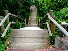 展望台のそばに、急な階段の木道があった。